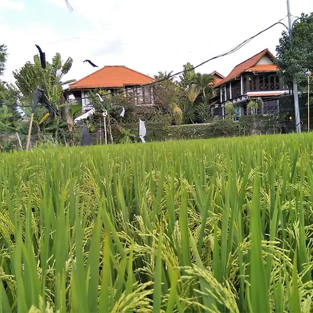 Umah Watu Villas